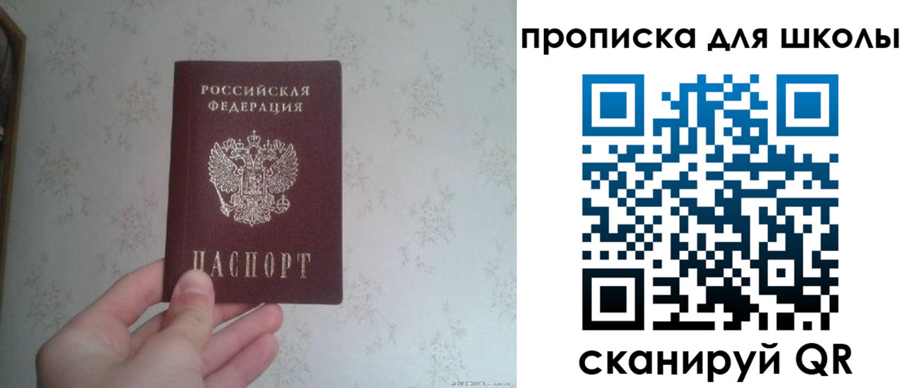 прописка в квартире в Камешково